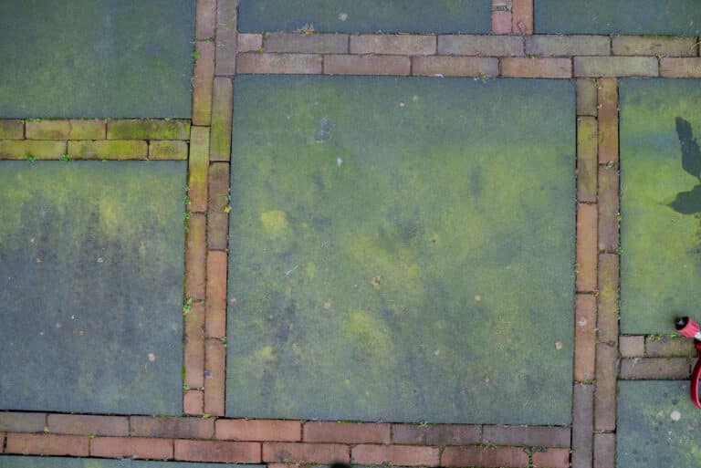 Groen aangeslagen tegels