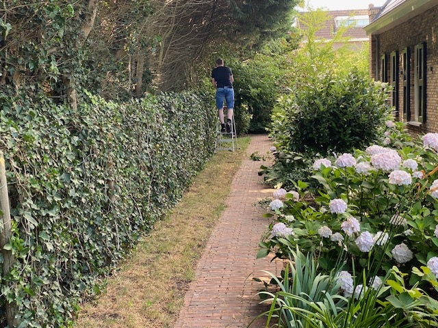 tuinonderhoud door terrastiptop schoon